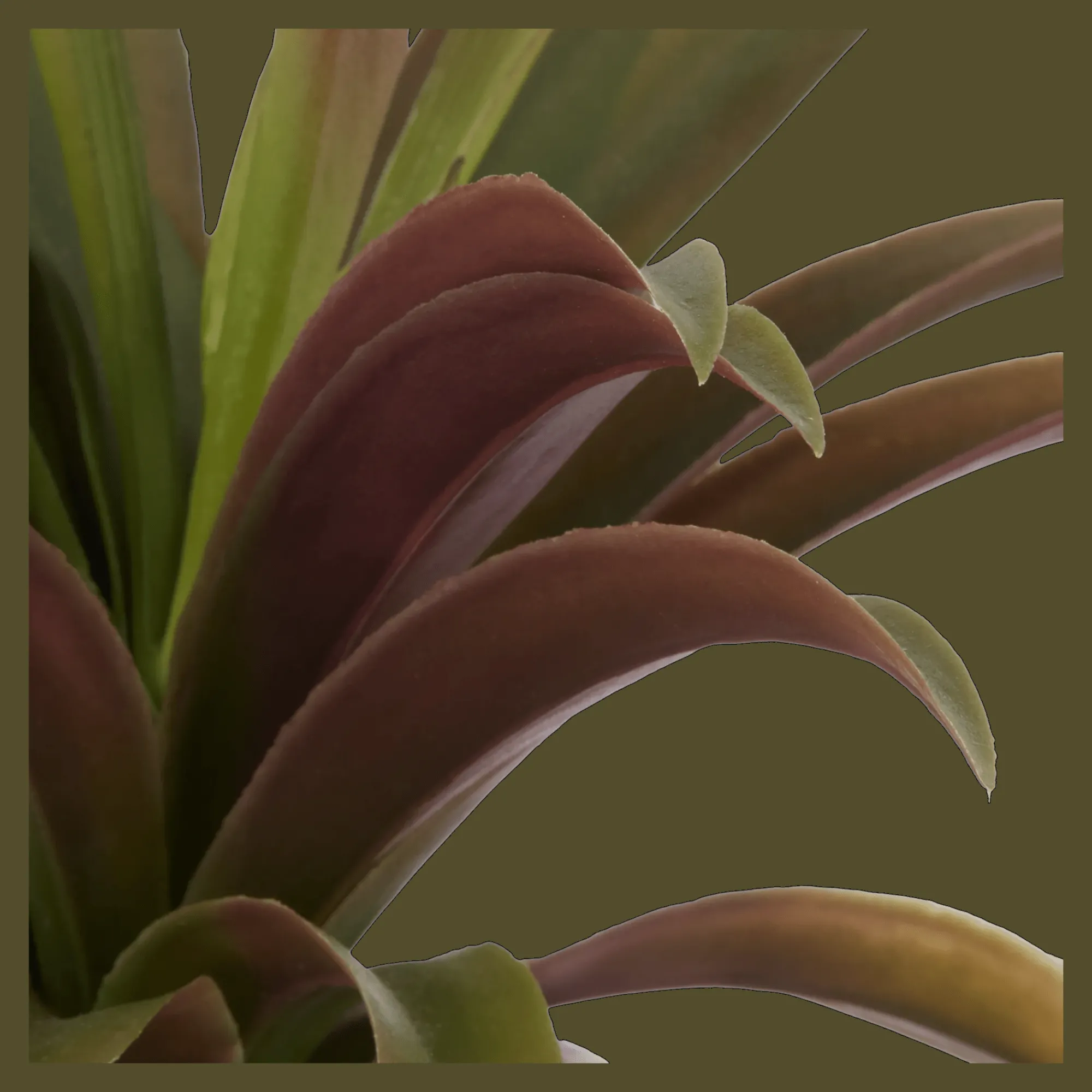 Bouclair Artificial Agave Plant in Ribbed Pot* Artificial Plants