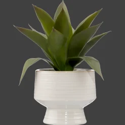 Bouclair Artificial Aloe in Ceramic Pot* Artificial Plants