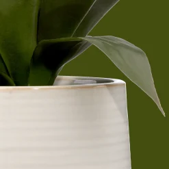 Bouclair Artificial Aloe in Ceramic Pot* Artificial Plants