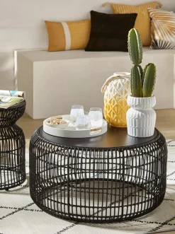 Bouclair Artificial Cactus in Ceramic Pot* Artificial Plants