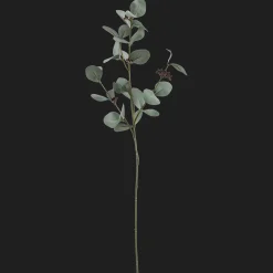 Bouclair Artificial Eucalyptus Stem* Branches|Artificial Flowers