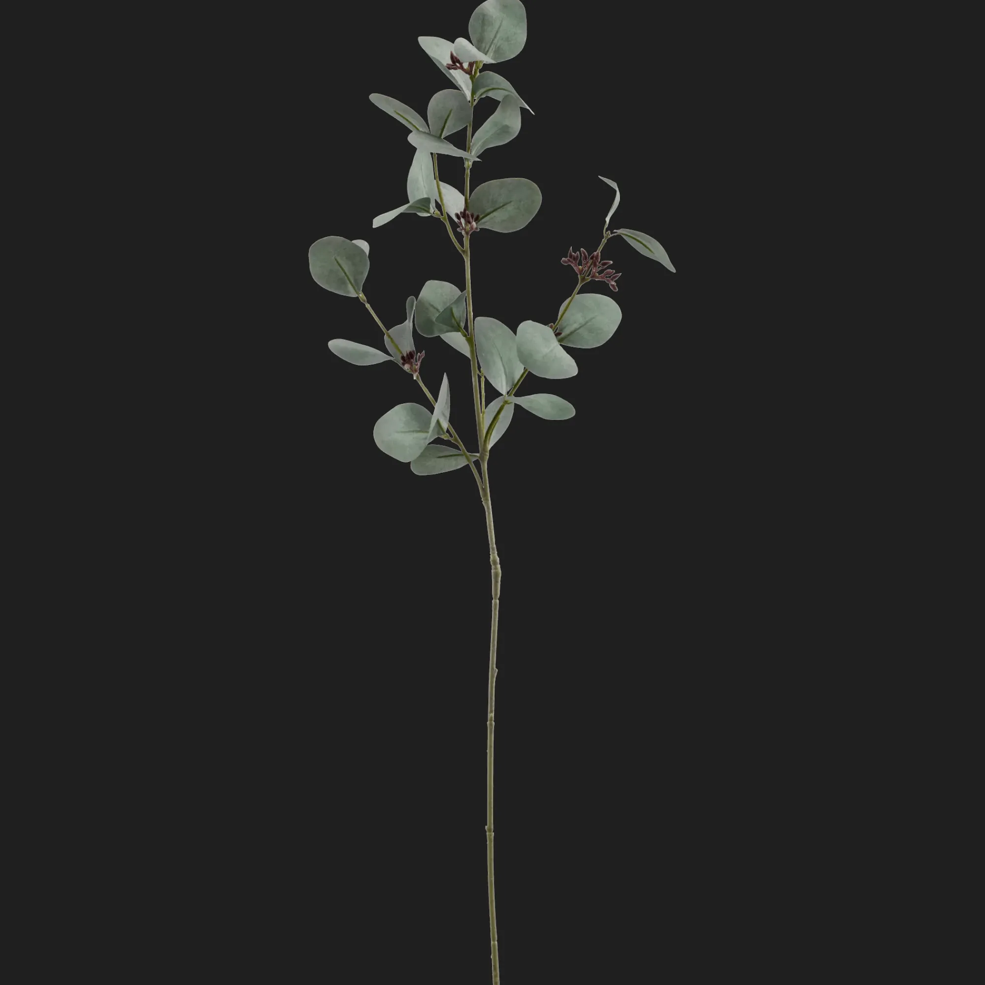 Bouclair Artificial Eucalyptus Stem* Branches|Artificial Flowers