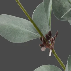 Bouclair Artificial Eucalyptus Stem* Branches|Artificial Flowers