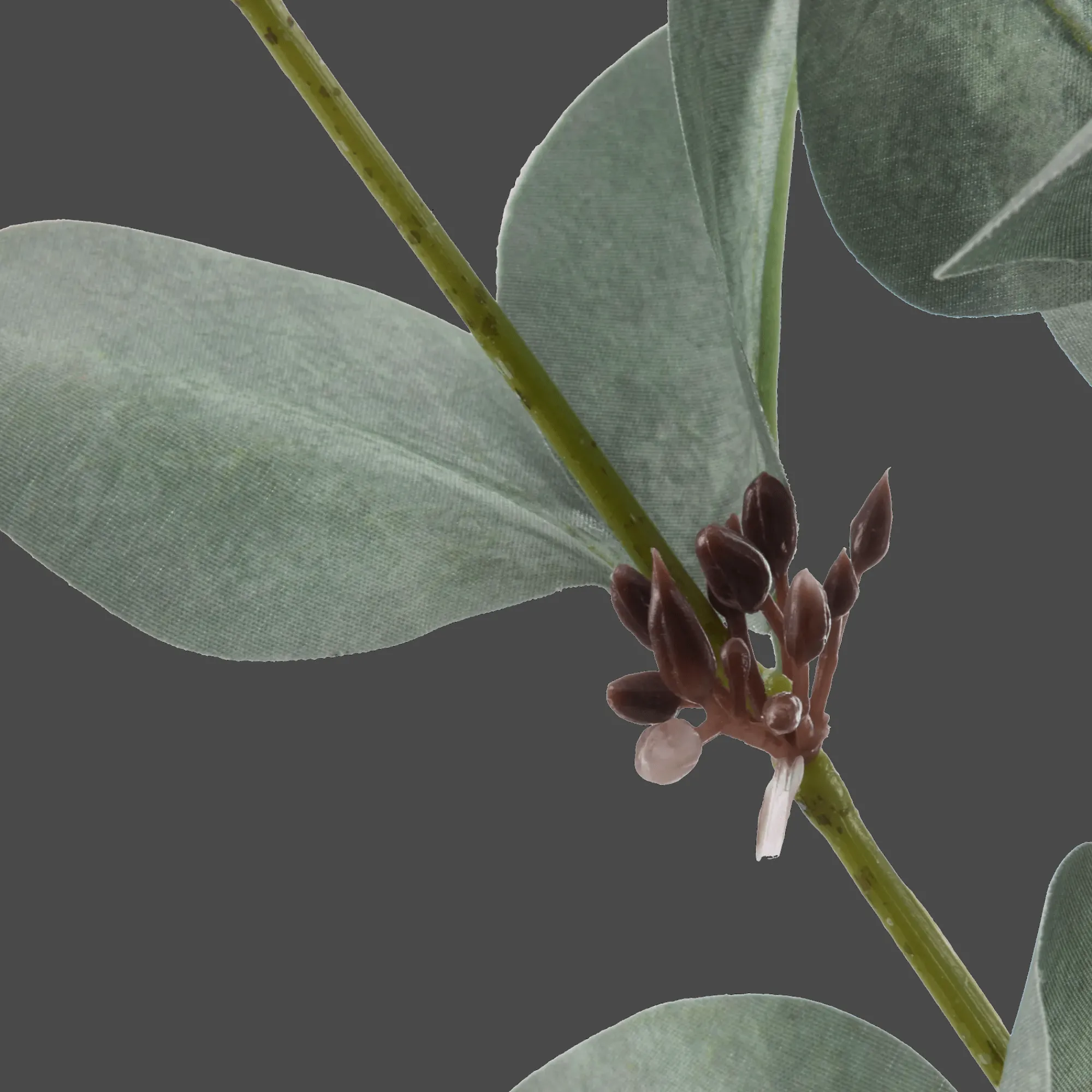 Bouclair Artificial Eucalyptus Stem* Branches|Artificial Flowers