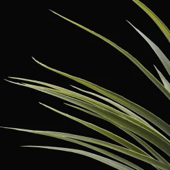 Bouclair Artificial Exotic Floor Plant in White Pot* Branches|Artificial Flowers