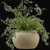Bouclair Artificial Fern* Artificial Plants