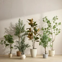 Bouclair Artificial Ficus Tree* Branches|Artificial Flowers