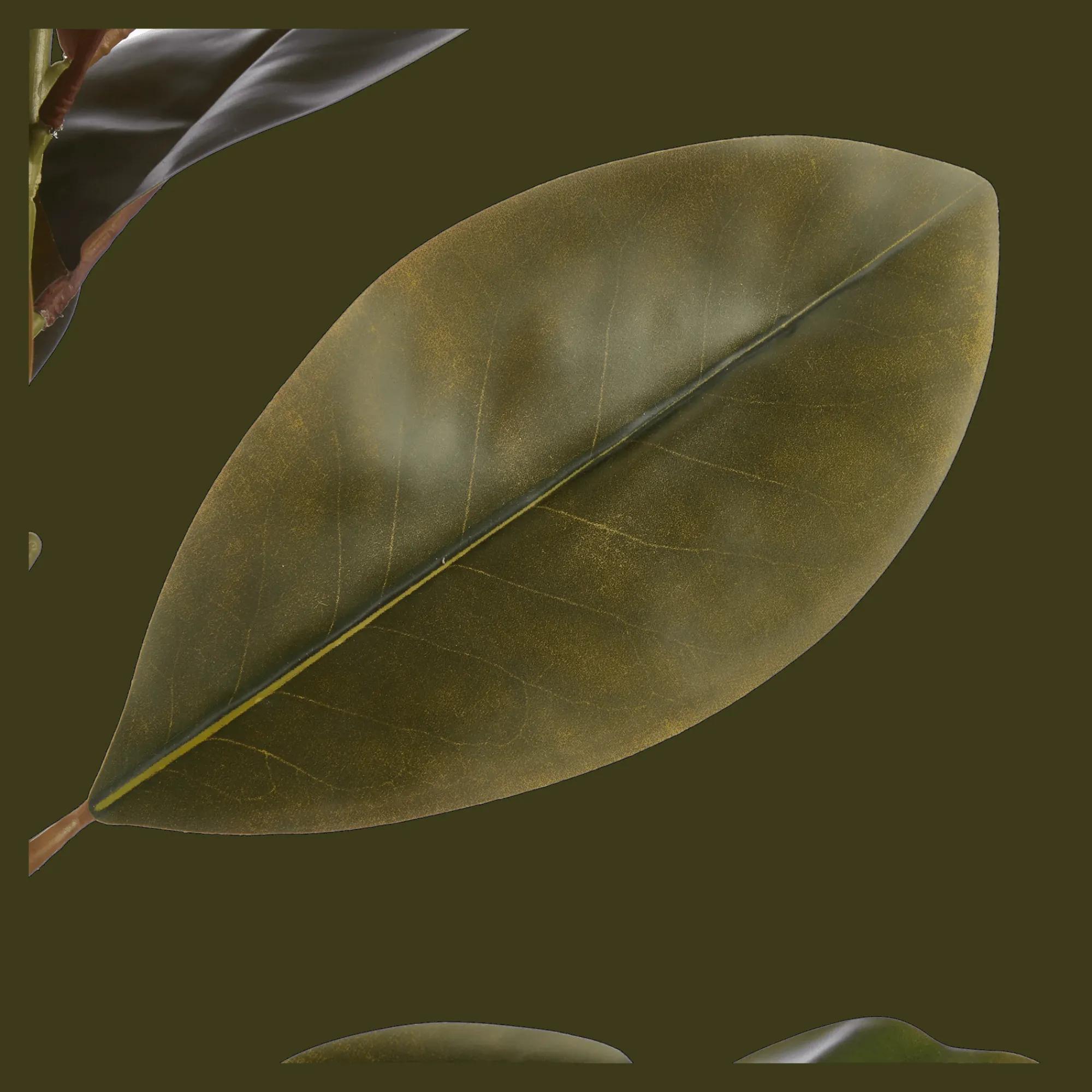 Bouclair Artificial Ficus Tree* Branches|Artificial Flowers