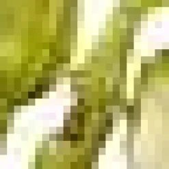 Bouclair Artificial Flower* Branches|Artificial Flowers