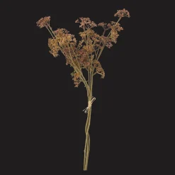 Bouclair Artificial Hemlock Flower Stem* Branches|Artificial Flowers