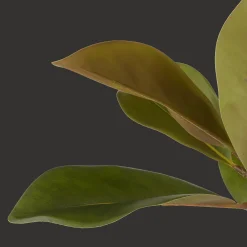 Bouclair Artificial Magnolia Tree* Branches|Artificial Flowers