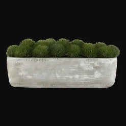 Bouclair Artificial Moss in Cement Pot* Artificial Plants
