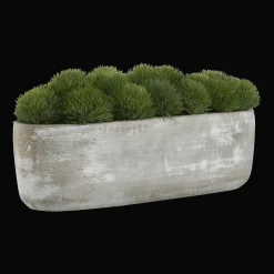 Bouclair Artificial Moss in Cement Pot* Artificial Plants