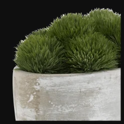 Bouclair Artificial Moss in Cement Pot* Artificial Plants
