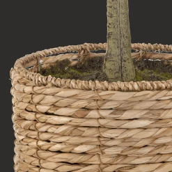 Bouclair Artificial Olive Tree in Basket* Branches|Artificial Flowers