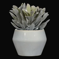 Bouclair Artificial Panda Plant in Ceramic Pot* Artificial Plants