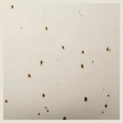 Bouclair Artificial Plant in Beige Speckled Pot* Artificial Plants