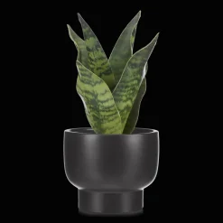Bouclair Artificial Plant in Black Matte Ceramic Pot* Artificial Plants