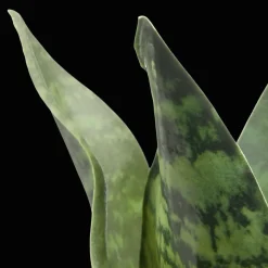 Bouclair Artificial Plant in Black Matte Ceramic Pot* Artificial Plants