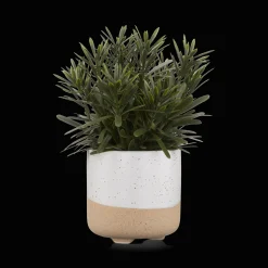 Bouclair Artificial Plant in Ceramic Pot* Artificial Plants