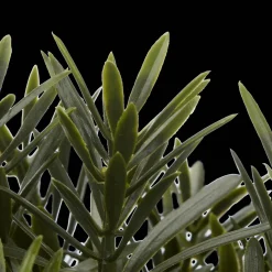 Bouclair Artificial Plant in Ceramic Pot* Artificial Plants