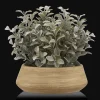 Bouclair Artificial Plant in Ceramic Pot* Artificial Plants