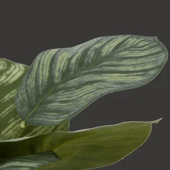 Bouclair Artificial Plant in Striped Ceramic Pot* Artificial Plants