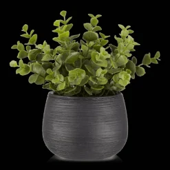 Bouclair Artificial Plant in Striped Pot* Artificial Plants