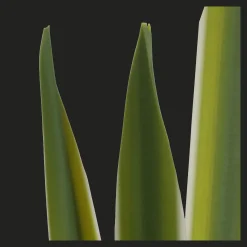 Bouclair Artificial Yucca Leaf in Ceramic Pot* Artificial Plants