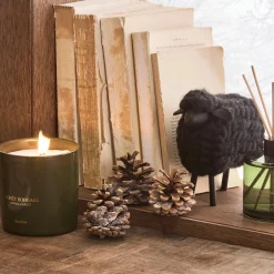 Bouclair Boreal Forest Diffuser* Candles & Candle Stick Holders