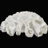 Bouclair Decorative Coral* Home Decorative Items & Objects