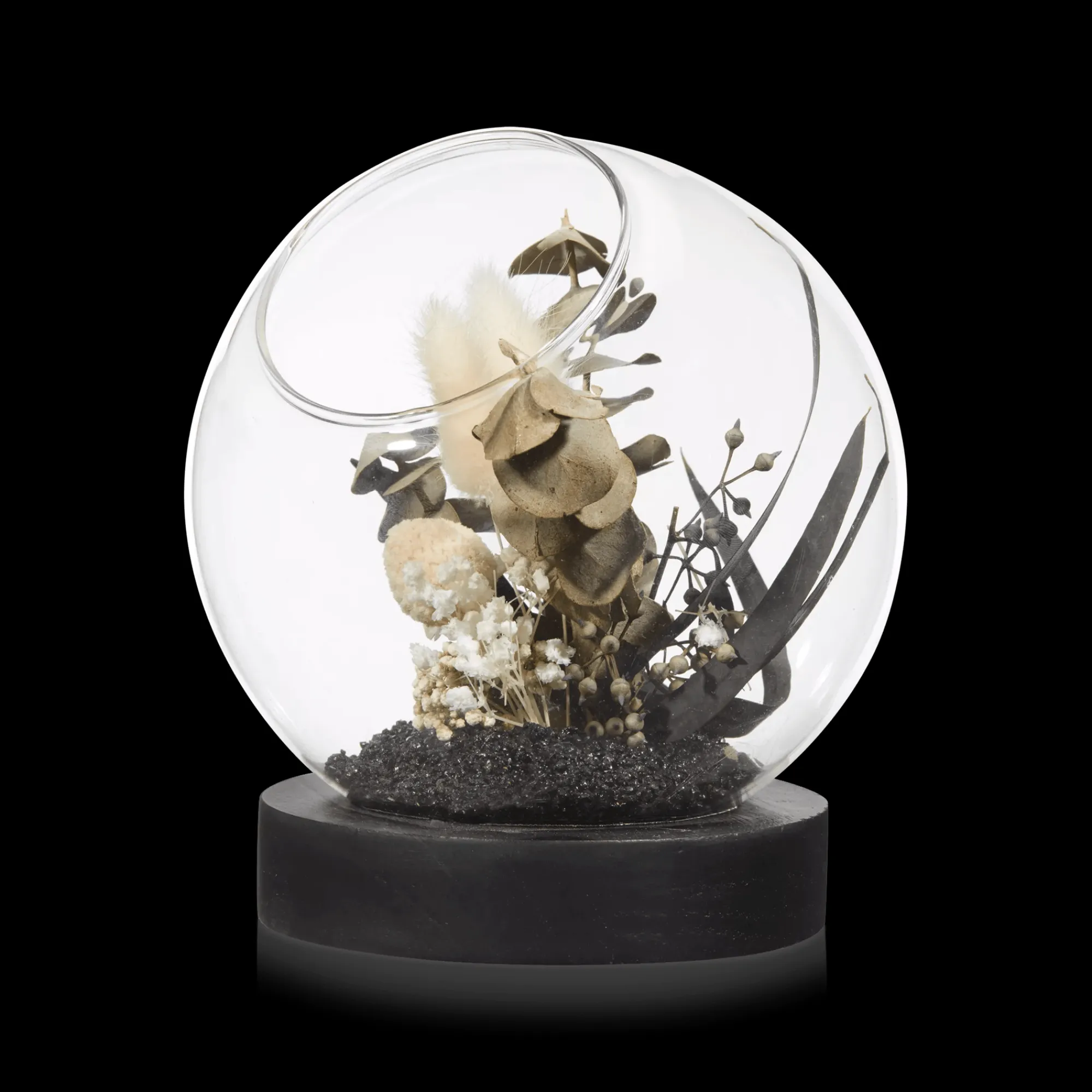 Bouclair Decorative Stems in Glass Dome* Home Decorative Items & Objects