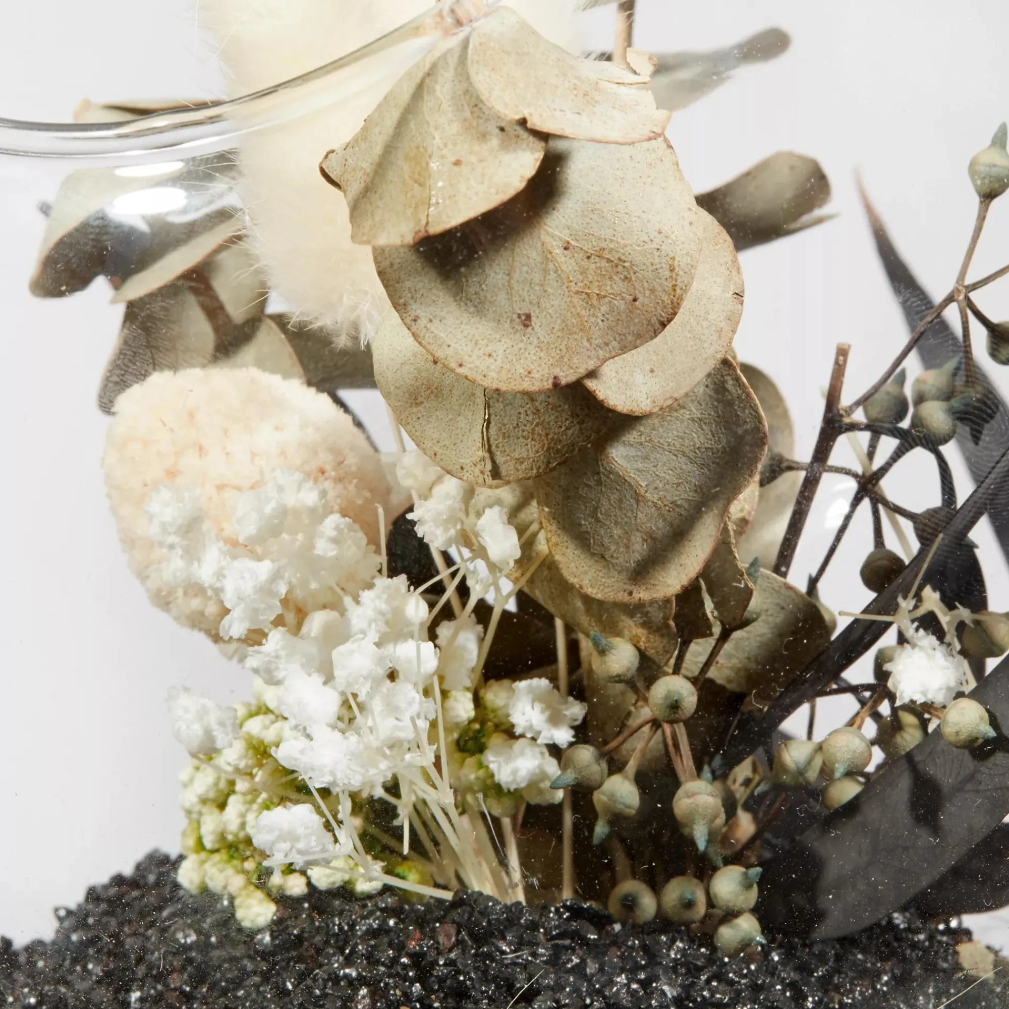 Bouclair Decorative Stems in Glass Dome* Home Decorative Items & Objects