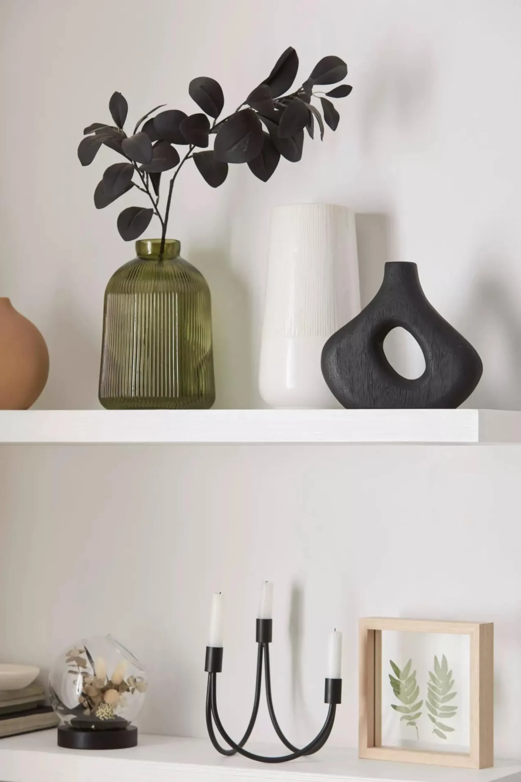 Bouclair Decorative Stems in Glass Dome* Home Decorative Items & Objects