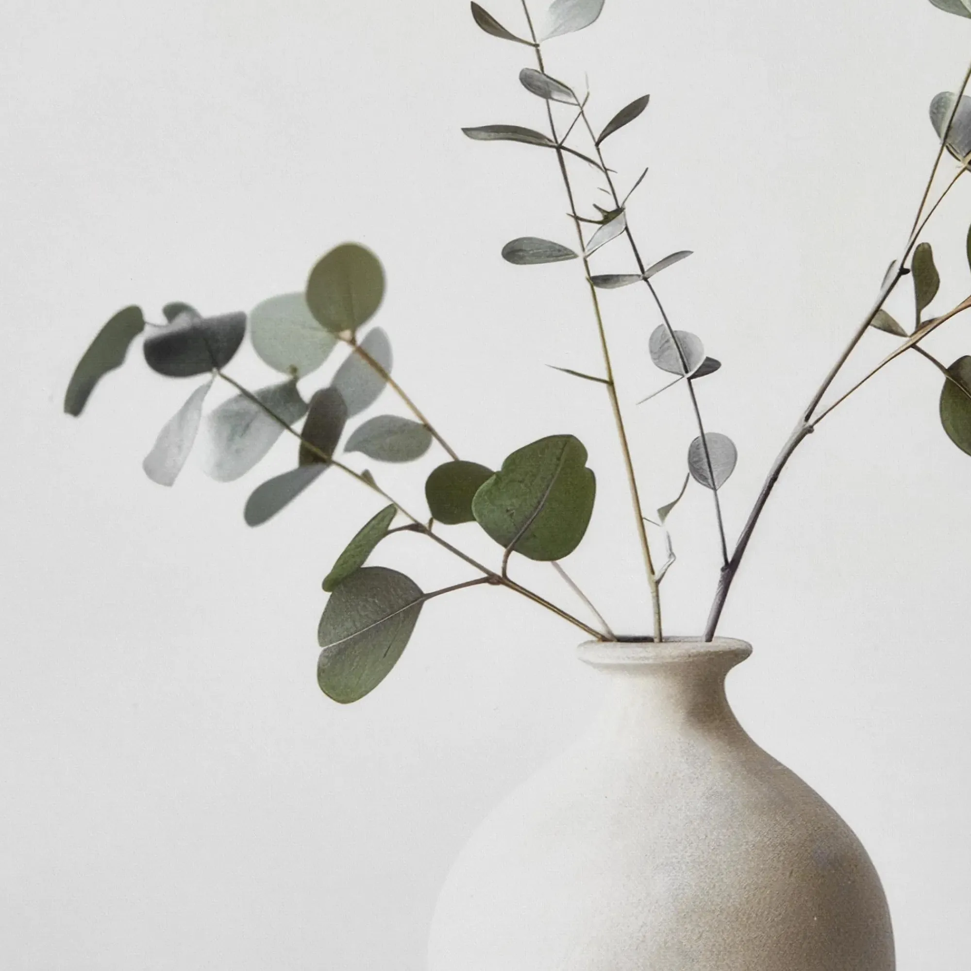 Bouclair Eucalyptus in a Vase Framed Art* Printed & Photography Wall Art Canvases