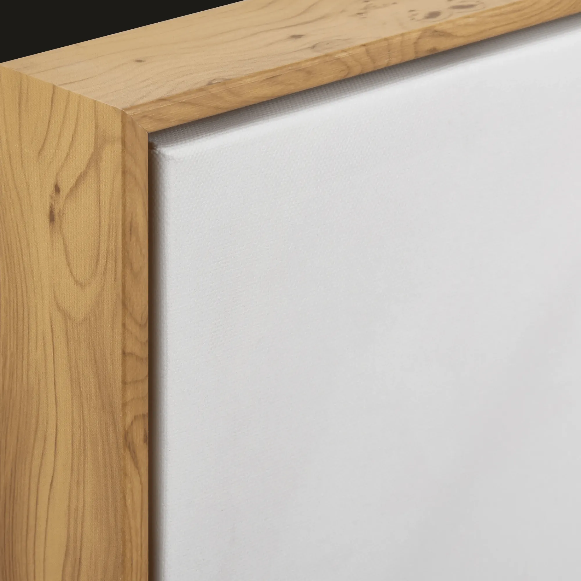 Bouclair Eucalyptus in a Vase Framed Art* Printed & Photography Wall Art Canvases