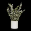 Bouclair Eucalyptus in Ceramic Pot* Artificial Plants