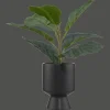 Bouclair Ficus in black ceramic pot* Artificial Plants