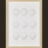 Bouclair Framed Art 3D Shells* Bathroom Wall Decor