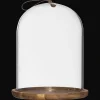 Bouclair Glass Dome with Wood Base* Home Decorative Items & Objects