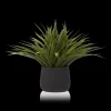 Bouclair Grass in Ceramic Pot* Artificial Plants