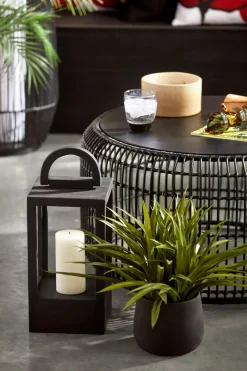 Bouclair Grass in Ceramic Pot* Artificial Plants