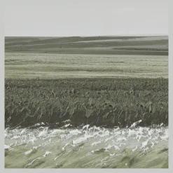 Bouclair Green Landscape Framed Art* Oil Paintings