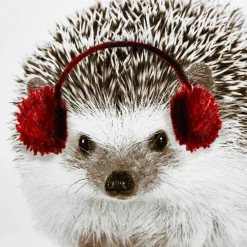 Bouclair Hedgehog Canvas Framed Art* Christmas Decorative Objects