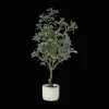 Bouclair Large Artificial Aralia Tree* Branches|Artificial Flowers