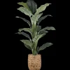 Bouclair Large Ficus in Rattan Pot* Branches|Artificial Flowers