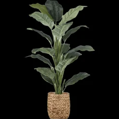 Bouclair Large Ficus in Rattan Pot* Branches|Artificial Flowers