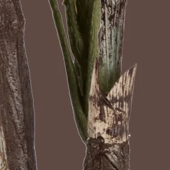 Bouclair Large Fiddle-Leaf Fig Potted Floor Plant* Branches|Artificial Flowers