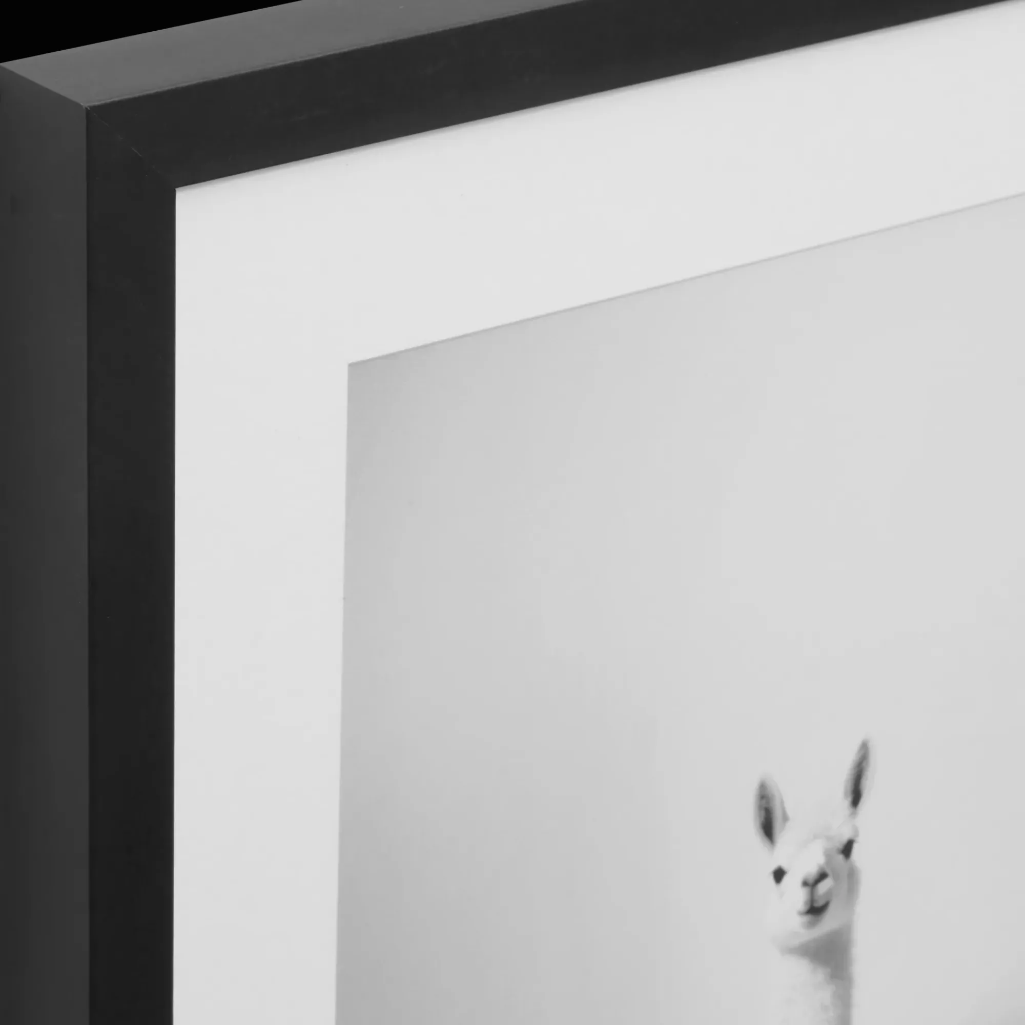 Bouclair LLama in Bathtub Printed Framed Canvas* Printed & Photography Wall Art Canvases