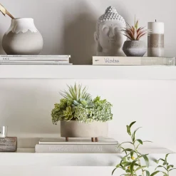 Bouclair Mixed Artificial Agave in Cement Planter* Artificial Plants